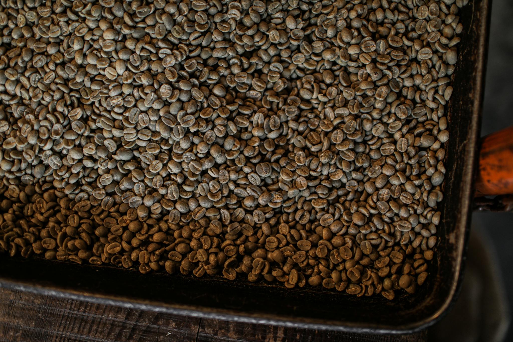 A large pile of unroasted coffee beans in a tray, perfect for coffee-related content.